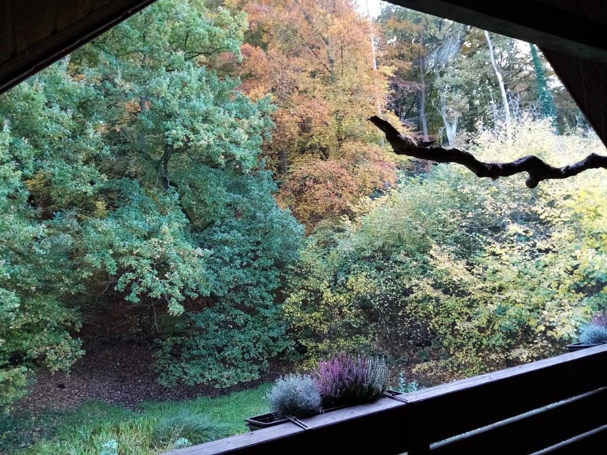 Haus Am Wald Apartamento